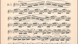 베르비기어 플루트 에튀드Tranquille Berbiguier 18 exercises or etudes no7 [upl. by Erroll]