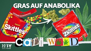 CALI WEED  Woher der Hype um das hochgezüchtete Gras mit Celo amp Abdi 65Goonz SedoWexx und Locke [upl. by Wilfred722]