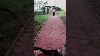 Hathu mere sathi se mulakat hui Aaj 😅☺️youtubeshorts minivlog 159 hostelvlogs hathi morning [upl. by Lepley607]