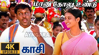 Maanu Tholu  4K Video Song  மானு தோலு உண்டு  Kasi  Vikram  Ilaiyaraaja  Ayngaran [upl. by Trici]