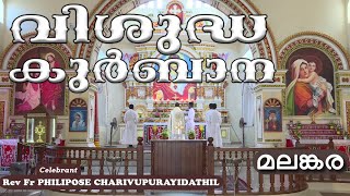 Malankara Catholic Qurbana4 FEB 2024Fr PHILIPOSE CHARIVUPURAYIDATHILMALAYALAM MASS TODAYGOODNESS [upl. by Warms829]