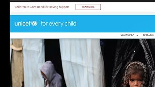 Business Analyst Remote internship at UNICEF [upl. by Alam]