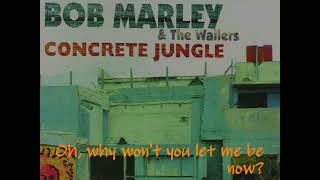 Concrete Jungle KARAOKE by BOB MARLEY and the WAILERS  lucien depuydt karaoke [upl. by Ycal691]