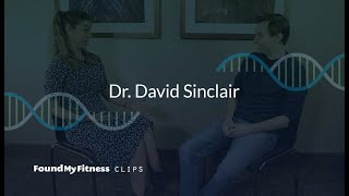 Nicotinamide Riboside vs Nicotinamide Mononucleotide  dosing and effects on NAD  David Sinclair [upl. by Adel587]