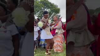 Beautiful Zulu Dancers zuluculture traditionaldance [upl. by Rilda467]