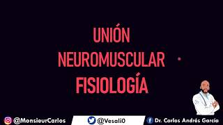 Fisiología  Union Neuromuscular Liberación y Secuestro de Acetilcolina [upl. by Andras999]