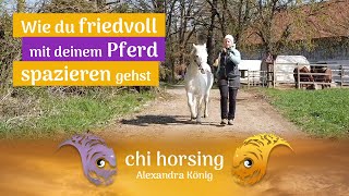 Thema Pferd Führen  Wenn ein Pferd gegen uns ist Die Ursachen amp friedvolle kompetente Korrektur [upl. by Noislla]