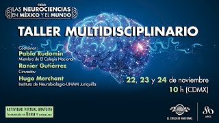 Las neurociencias en México y el mundo taller multidisciplinario [upl. by Eirelam]