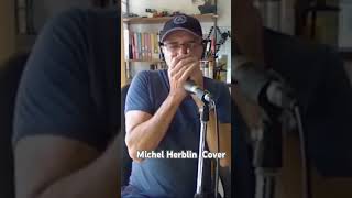 Cool Blues Harmonica Riff cover Michel Herblin harmonicamusic [upl. by Kohsa]