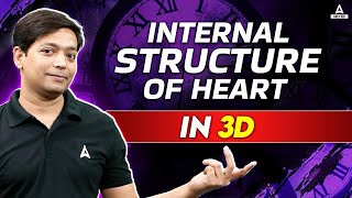 Human Heart Structure And Function  Detailed 3D Human Heart Diagram  NEET Hindi Medium [upl. by Ihc]