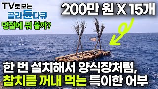 1000미터 바다 아래 참치 떼 모아 놓고 꺼내 먹는 인도네시아 어부｜풍어 기다릴 필요 없이 직접 키운다｜만선 참치잡이 롬폰｜명절에 뭐 볼까｜인간과 바다｜골라듄다큐 [upl. by Ahsimrac]