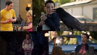 Sheldon’s Fear of Dogs amp Birds  The Coopers [upl. by Akilegna]