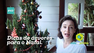 Dicas de árvores para o Natal 49 [upl. by Ferino]