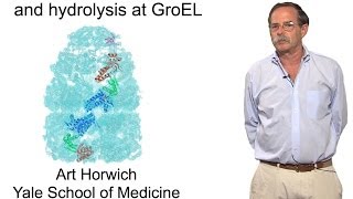 Arthur Horwich YaleHHMI Part 2 The role of ATP binding and hydrolysis at GroEL [upl. by Flessel69]