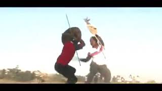 Nguni stickfighting also known as umdlalo wezinduku [upl. by Gillie]