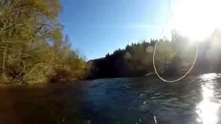 Fly fishing Slovenia  Kupa river 2014 [upl. by Adeline]