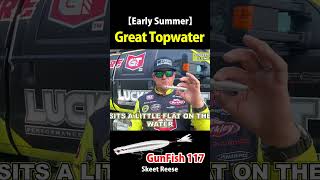 【Early Summer 07 08】Great Topwater Summertime Bait【GunFish】 [upl. by Liz351]