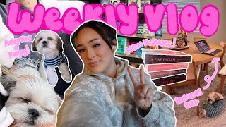 bookmas prep book shopping reading sprints adopting a puppy  WEEKLY VLOG  bookmas day 8 [upl. by Ecydnac906]