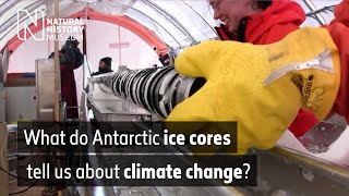 What Antarctic ice cores tell us about climate change  Natural History Museum [upl. by Hindorff]