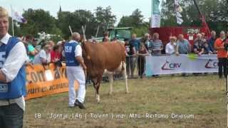 Veekeuring NoordFriesland MELKVEE 28 juli 2012 [upl. by Jerrome28]