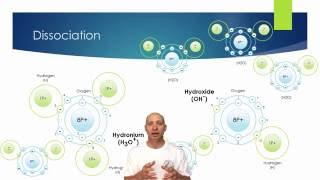 Introduction To Water I  Ions pH and Alkalinity [upl. by Swarts]