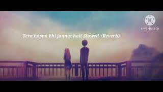 Tera hasna bhi jannat hai Slowed Reverb [upl. by Vachill]