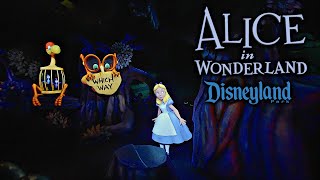 Alice in Wonderland On Ride Low Light 4K POV Disneyland 2024 10 21 [upl. by Sherye]