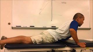 Lumbar Home Exercise Program [upl. by Gussman266]