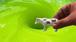 Whirlpools and cow Whirlpool Whirlpool Video toy Whirlpool toys [upl. by Adiasteb107]