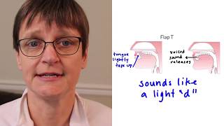 How Americans Pronounce T in the middle of words Flapped T Stopped T and Aspirated T [upl. by Eanaj]