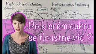 Není cukr jako cukr Po kterém se tloustne víc [upl. by Eslek]