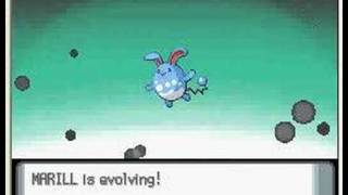 MARILL evolve in to AZUMARILL [upl. by Dilaw444]