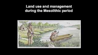 Land use and management during the Mesolithic period [upl. by Alwitt676]