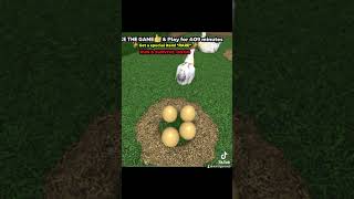 Roblox gameChicken egg steal chicken [upl. by Atrim293]