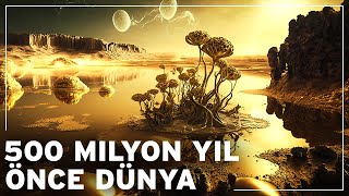 Dünya 500 milyon yıl önce nasıl bir yerdi  Dünyanın Belgesel Tarihi [upl. by Eiggem]