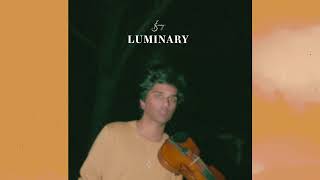 joel sunny  luminary original song  official audio [upl. by Leta939]