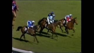 1989 Grand National extended footage [upl. by Trbor309]