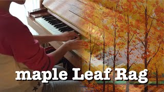 Scott Joplin  Maple Leaf Rag [upl. by Hartman]