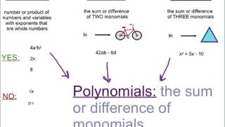 Classifying Polynomials 141 [upl. by Ahsinra]