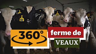 360 Ferme de Veaux [upl. by Bendicta767]