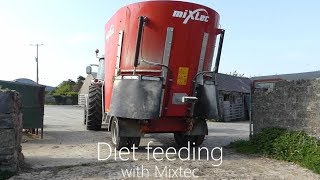 Diet Feeding with Mixtec 12 Tub [upl. by Fadden]