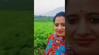 namaste ji 🙏 ll ye rhe humare aaj ke kaam ll ll village lifestyle vlog ll [upl. by Eceryt]