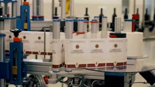 Wine bottling Vinaria din Vale wine of Moldova [upl. by Carlita]