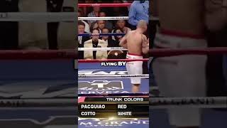 Pacquiao vs Cotto Epic Boxing Highlights Revealed [upl. by Eliason132]