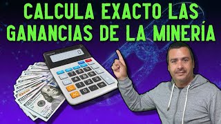 COMO CALCULAR EXACTAMENTE LAS GANANCIAS MINANDO [upl. by Iv]