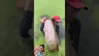 fish fisherman fishing fishermanlife fishermanslife carpfishing fishermans fishingtips [upl. by Gibbons167]