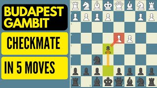 Budapest Gambit  Checkmate in 5 moves [upl. by Rustice]