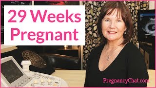 quot29 Weeks Pregnantquot by PregnancyChatcom PregChat [upl. by Ardnoik]