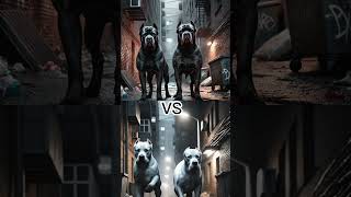 CANE CORSO VS DOGO ARGENTINOROTTWEILERGERMAN SHEPHERD AND OTHERSWHO WILL WIN [upl. by Rizzo]