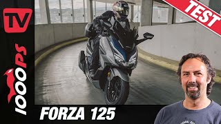 Honda Forza 125 Test 2021  wie viel Luxus passt in einen Roller [upl. by Buskirk]